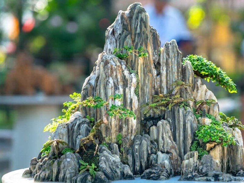 Thiết kế thi công hòn non bộ