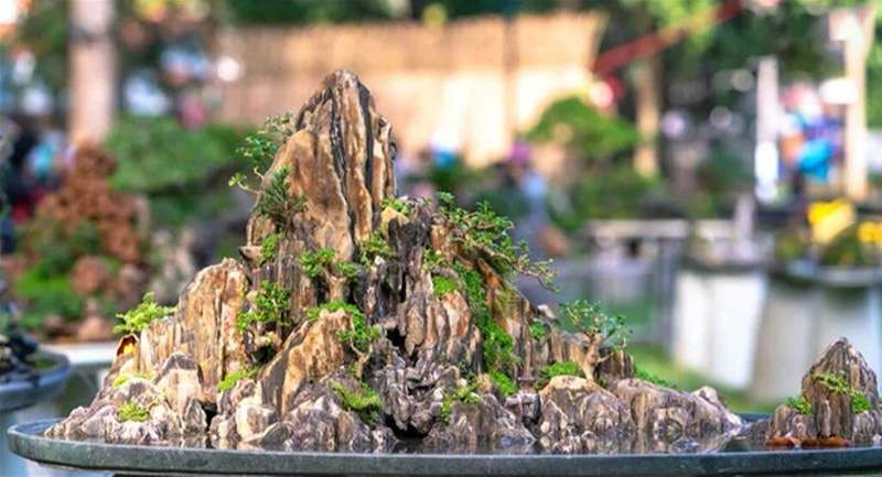 Báo Giá Thiết Kế, Thi Công Hòn Non Bộ