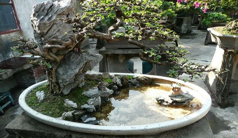 Hướng Dẫn Các Làm Hòn Non Bộ Tại Nhà Chỉ Với Vài Bước Đơn Giản