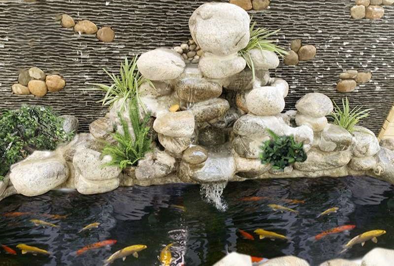 Lợi Ích Và Nguyên Tắc Xây Dựng Bể Cá Non Bộ Hợp Phong Thủy Đẹp