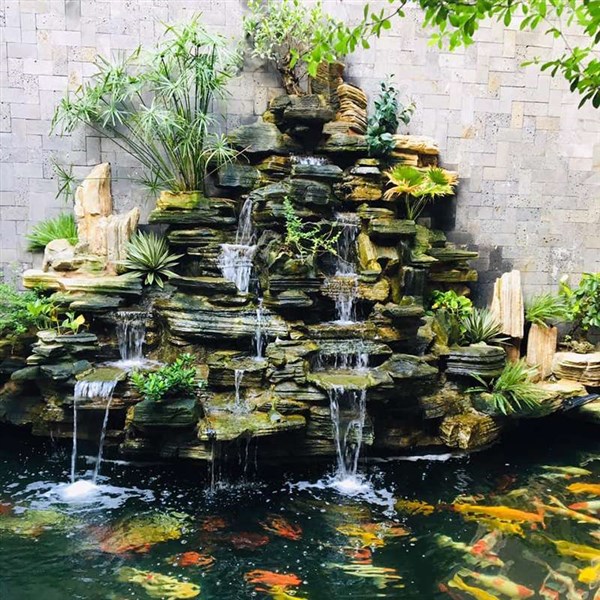 Non Bộ Hồ Cá Koi Là Gì? Lợi Ích Mà Nó Mang Lại Cho Chúng Ta