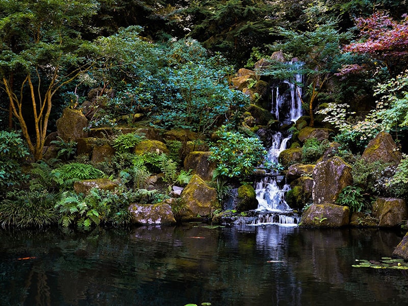 Thiết kế cảnh quan hòn non bộ