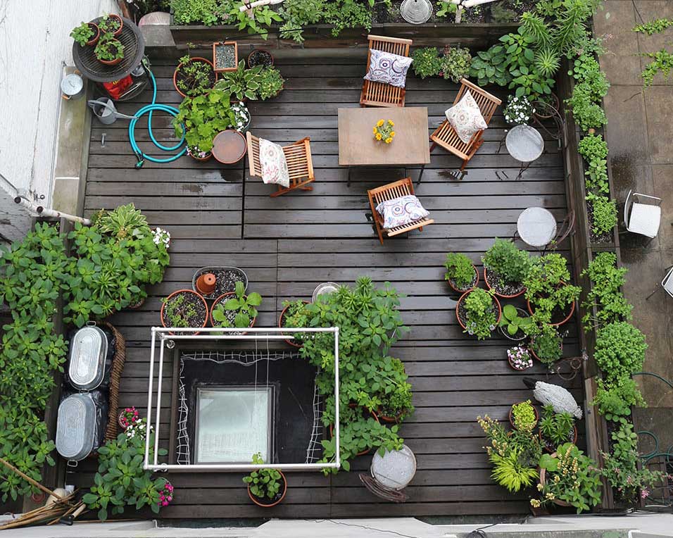 Thiết kế cảnh quan sân thượng