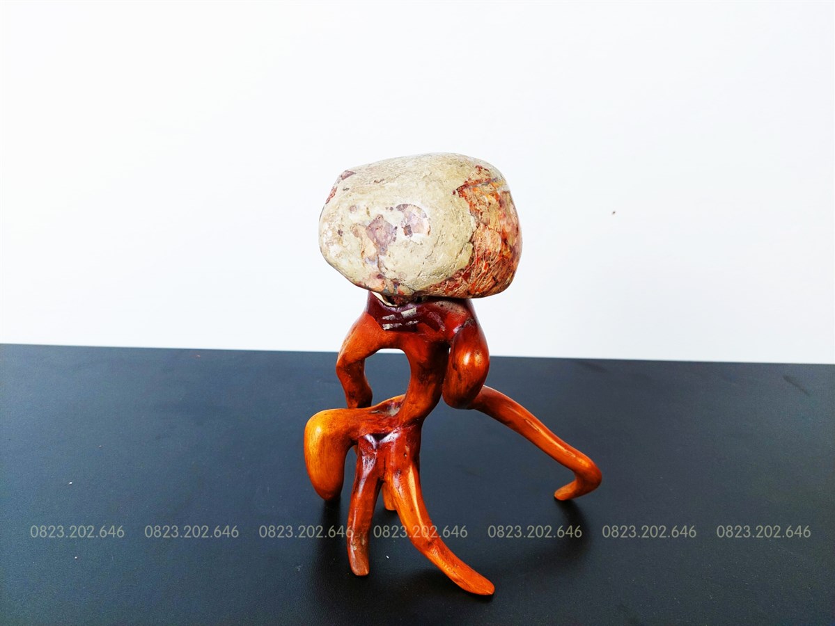 Đá Suiseki hình bạch tuộc