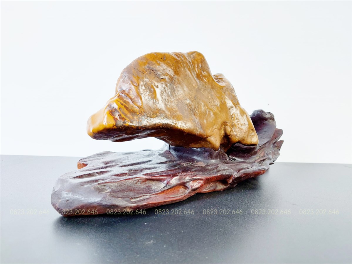 Đá Suiseki hình cá heo 