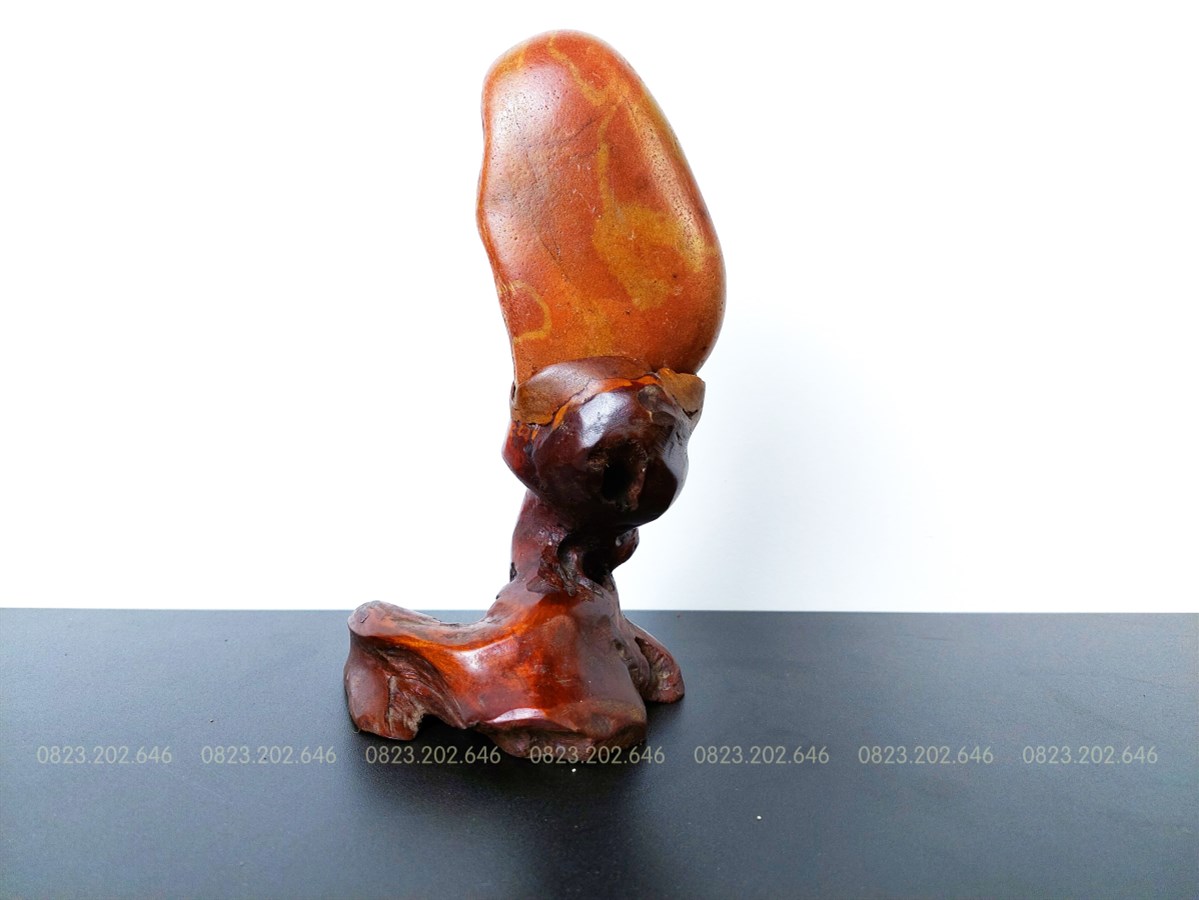 Đá Suiseki hình hạt mầm